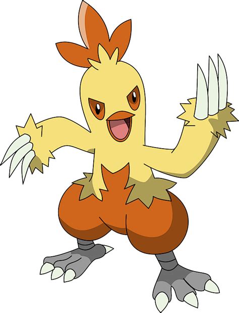 combusken type